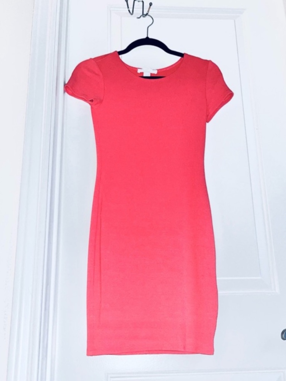 Stunning Short Sleeve Coral Structured Classic Sheath Dress NWOT